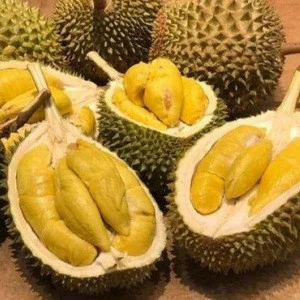 Super Fresh Durian from South Africa Premium Grade