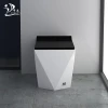 Tankless Design Pulse Solenoid Electronic Ceramic Bathroom Toilet