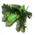 Import The Recycling Plastic and Silk Leaves for Artificial Plant Wall decoration from China