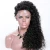 Import thick density 100% top quality indian remy hair kinky curl lace front wig for black women from China