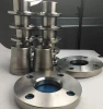 Tipure Quality Gr2 Pure Titanium Forged Flange for Oil and Gas Industry