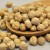 Import Top Grade Natural Bulk Chickpeas Dried Raw For Food Large 7mm - 9mm Pure Healthy Organic Chickpeas Egypt Top selling from Egypt