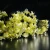 Import Top Sale Wedding Decoration Led String  battery operated Lights Rose Flower Fairy Lights from China