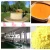 Import Traditional green healthy stone flour mill from China