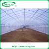 Wide Vegetable Tunnel Greenhouse, Used Greenhouse For Planting