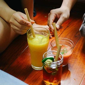 Vietnam Organic Bamboo Straws - Eco friendly bamboo straws - Bar Accessories