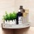 Import wall mounted  suction cup plastic ABS  bathroom corner shelf from China