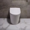 WaterMark certificated smart sanitary ware portable toilet