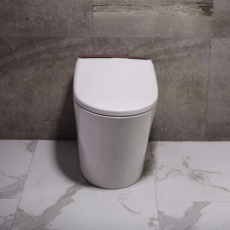 WaterMark certificated smart sanitary ware portable toilet