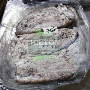 Whole Round Frozen Cuttlefish (Cleaned) at Wholesale Price from Hilton Foods