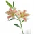 Import Wholesale 3D Artificial Flowers Real Touch Lily For Wedding Arrangement from China