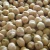 Import Wholesale Bulk Pack Bean Snack Salted Chickpeas / Best Quality Chickpea/Chick Pea Market Price HPS from Philippines