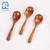Import Wholesale bulk wooden spoon Furgerin brand ice cream customized serving wooden long handle soup spoon for restaurant from China