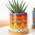 Import Wholesale ceramic pots for plants succulent plant pot from China
