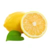 Wholesale cheap Price Hot sale high quality fruit fresh Yellow Lemons