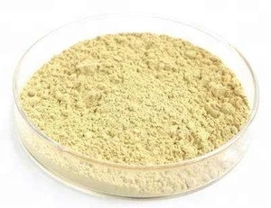 Wholesale CO Q10 powder cas 303-98-0 coenzyme q10 for anti-aging free sample