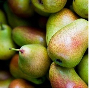 Wholesale Fresh Pear For Sale