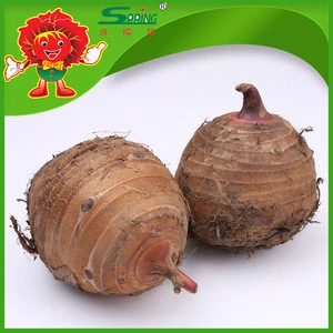Wholesale fresh Taro with competitive price, high quality Chinese taro