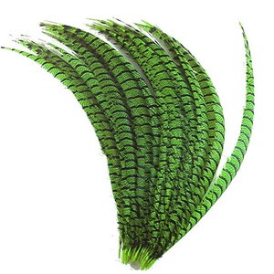 Wholesale Pheasant Feather Natural Plumas de Faisan