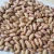 Import wholesale pinto bean and other kidney beans from Philippines