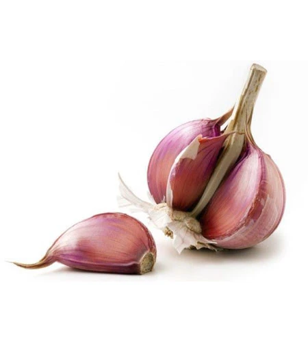 Wholesale Price Fresh Garlic -New Crop for Export at Affordable Price