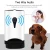 Import Wholesale Wifi Remote Control Smart Automatic Pet Feeder from China