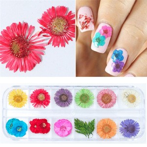 wholesaler pricenew style fashion nail art decoration 3d stickers decals/nail dry flower