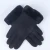 Import Womens Autumn Winter Warm Fashion Outdoor Gloves Plush Mitten Wrist Touch Screen Solid color Woman Gloves from China