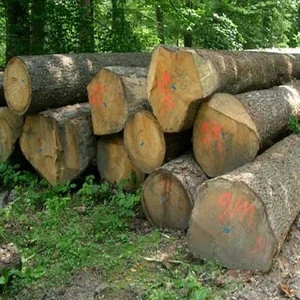 Wood Logs factory Wholesale eco-friendly Eucalyptus Round logs wood