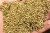 Import YELLOW MILLET from India
