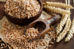 Where To Buy Wheat Grains Wholesale