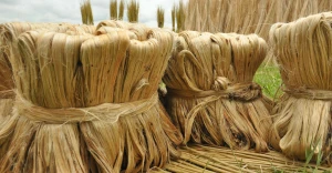 Natural Raw Jute Fiber for Eco Friendly Crafts and Packaging