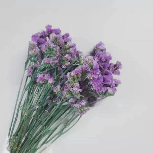 Wholesale Everlasting Preserved Flowers Preserved Myosotis Sylvatica Forget-me-not