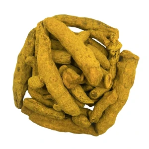 Wholesale Dried Turmeric Bulk Pack Natural Processing Bright Color Trusted Export Supply Of Dried Turmeric