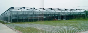 Diffuse Glass (Solar Energy Greenhouse Glass)