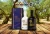 Import Premium Early Harvest Extra Virgin Olive Oil 500ml in Wholesale Price from Greece