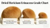 Lion’s Mane Mushroom Bulk Wholesaler
