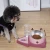 Import Pet Feeder Slow Bowls Automatic Pet Water Fountain Tilt bowl and double Slow food bowl from China