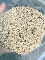 High Quality Organic Sesame Seeds Bulk Natural Wholesale