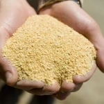 Soybean Meal - GMO in wholesale