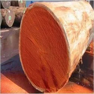Okoume Wood Log