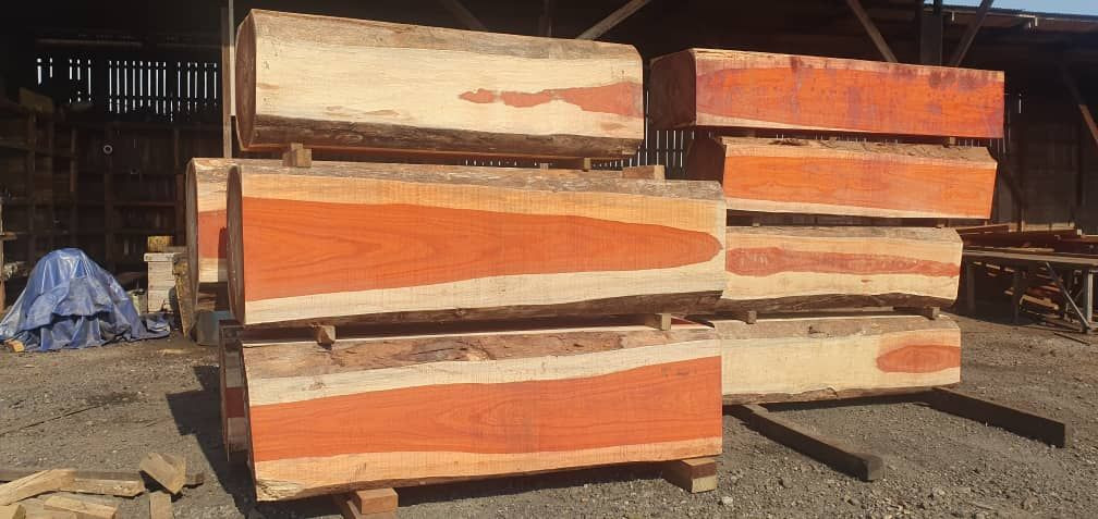 Buy Solid Wood Timber from GCBC, United Arab Emirates | Tradewheel.com