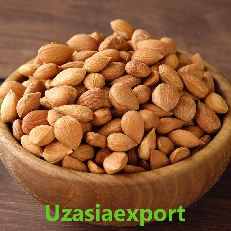 Buy Apricot Kernels from IT EXPORT ASEAN LLC, Uzbekistan