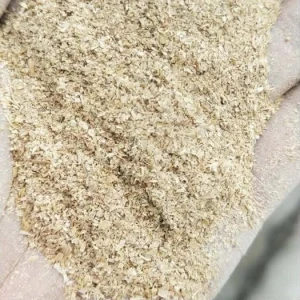 Rice bran