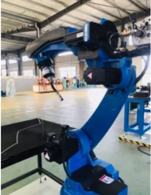 6-11 Axis Robot Arm Complete Solution 6kg Robotic Pallet Stacker Industrial