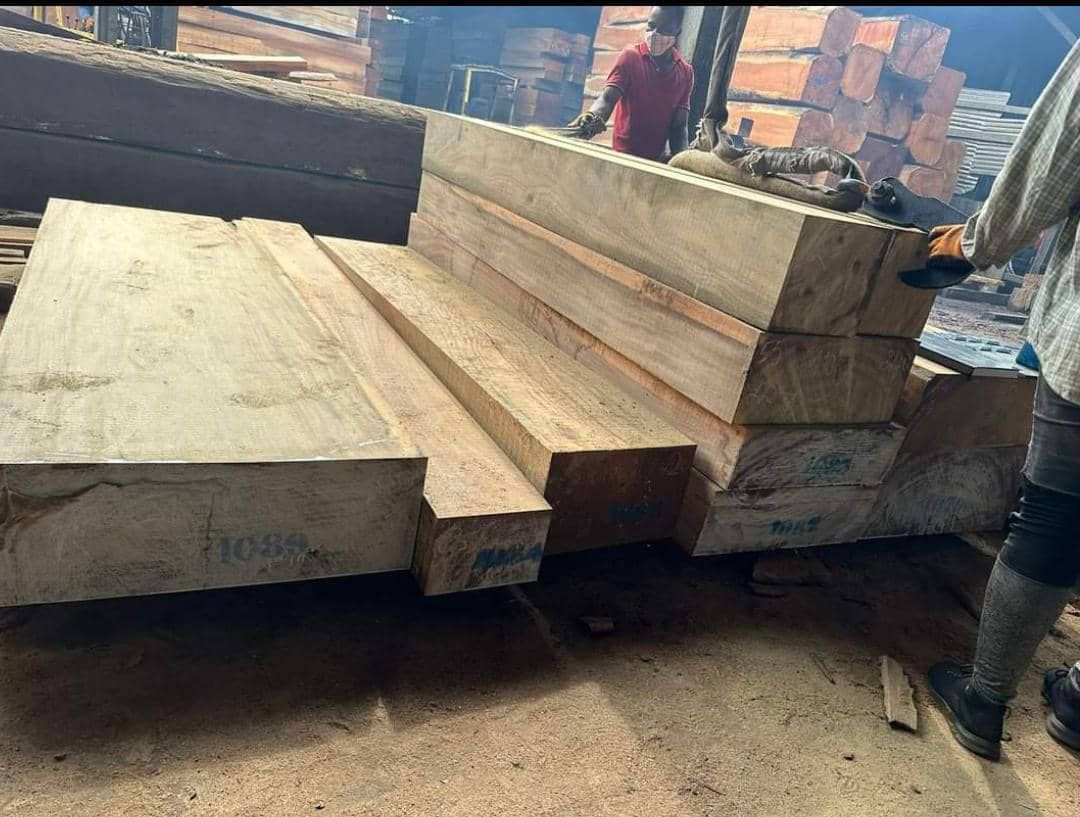 Buy Solid Wood Timber from GCBC, United Arab Emirates | Tradewheel.com
