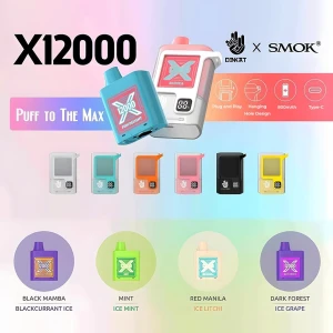Denkat X Smok X12000 Vape Kit