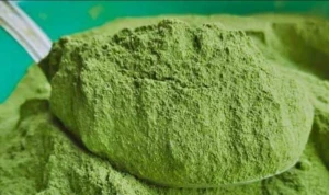 100% Organic Moringa Leaf Powder