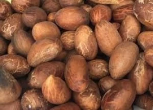 NUTS (Kola nut, Bitter kola, Tiger nut, Walnut, Peanut, Palm Kernel Nut, etc)
