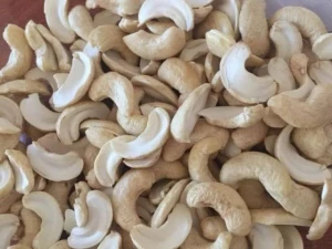 Quality Raw Cashew Nuts & Processed Cahsew Nuts in Best Discounts